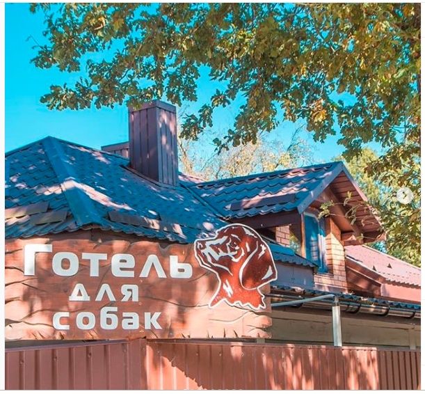 зображення новини