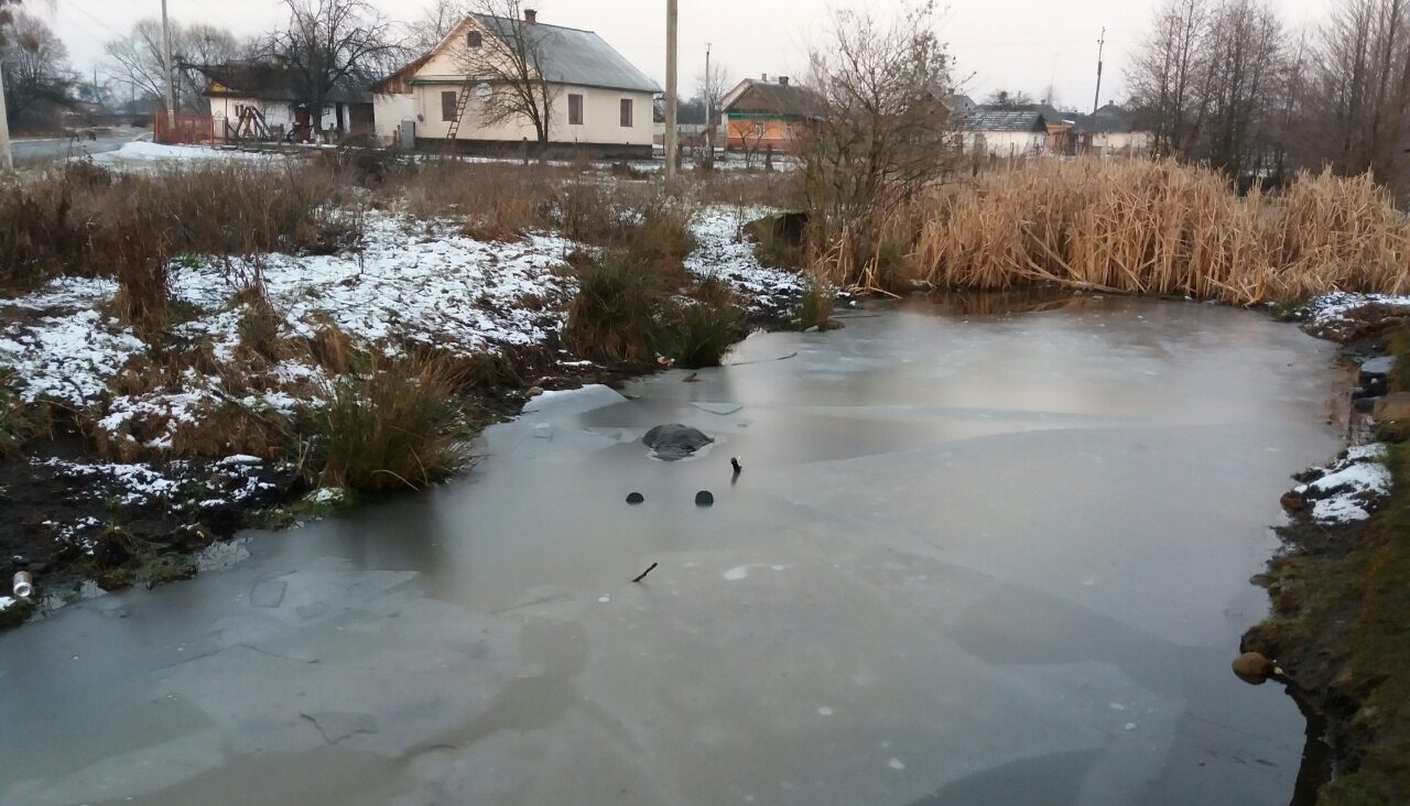 зображення новини