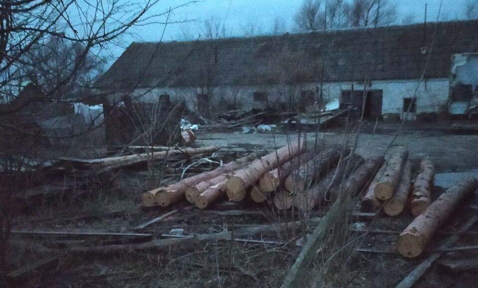 зображення новини