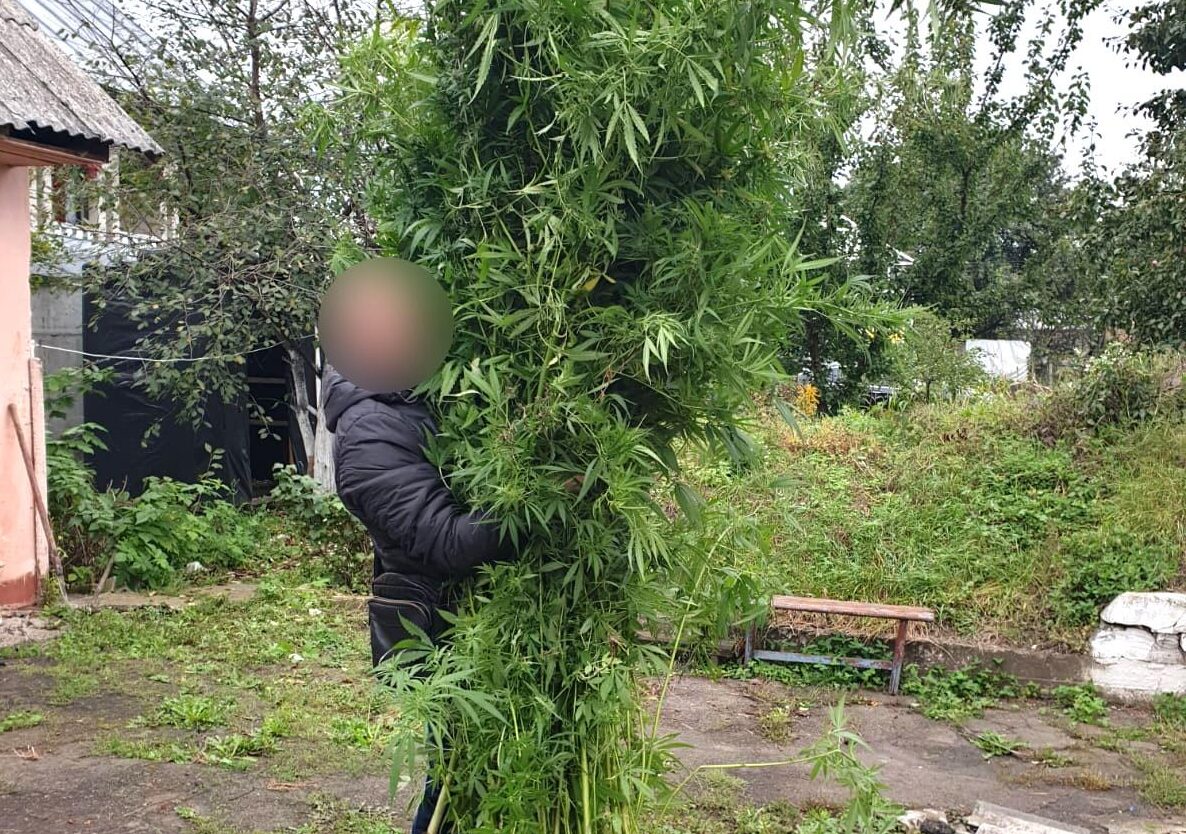 зображення новини