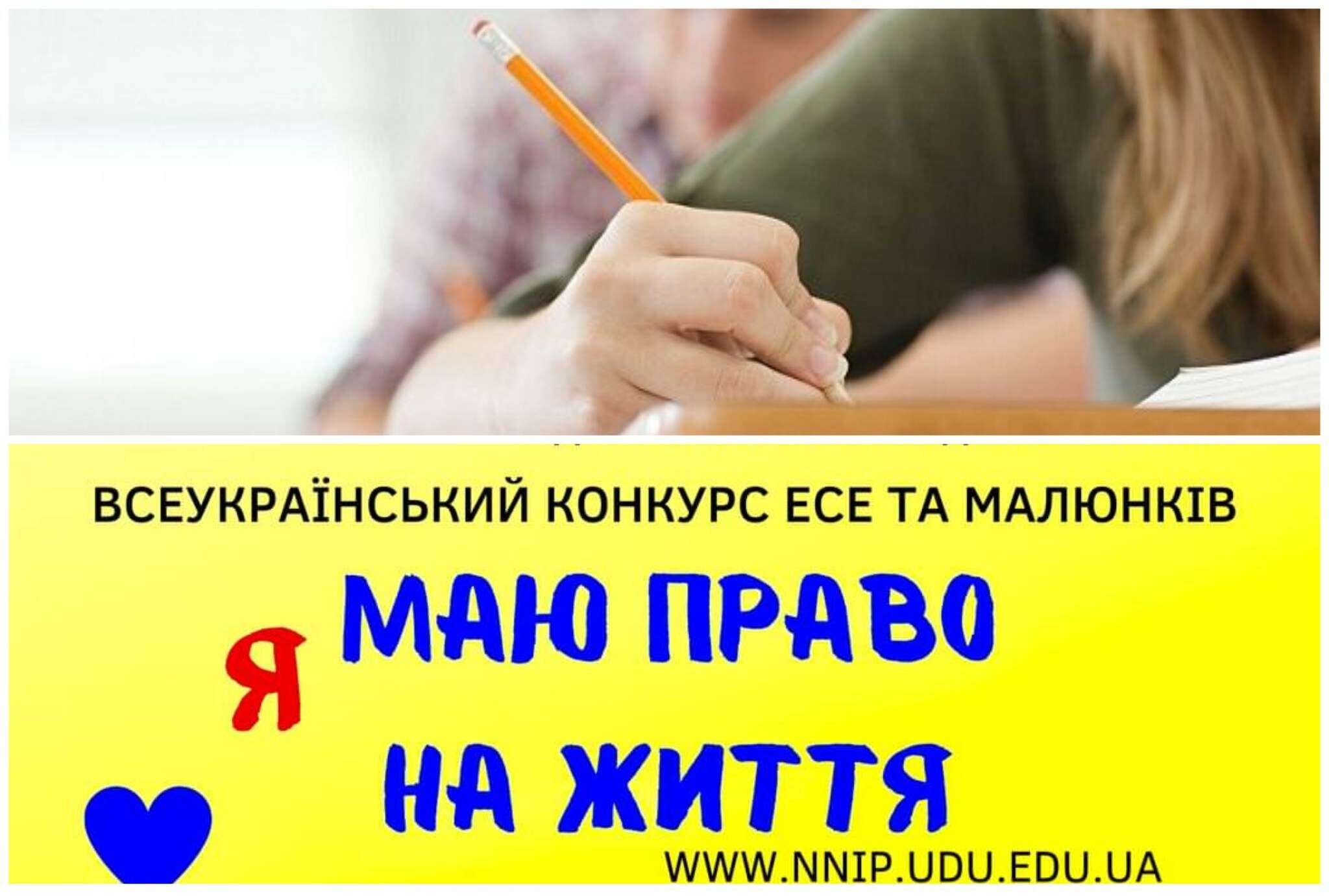 зображення новини