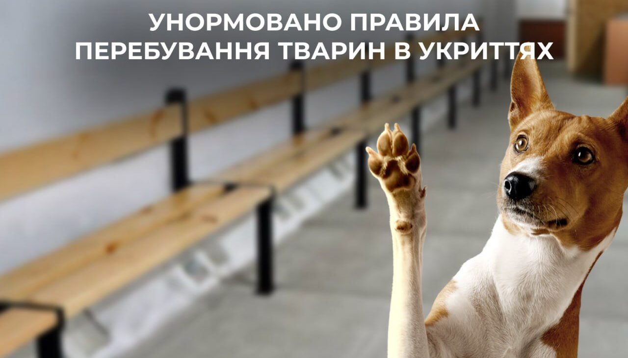 зображення новини