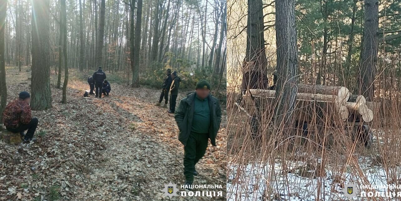 зображення новини