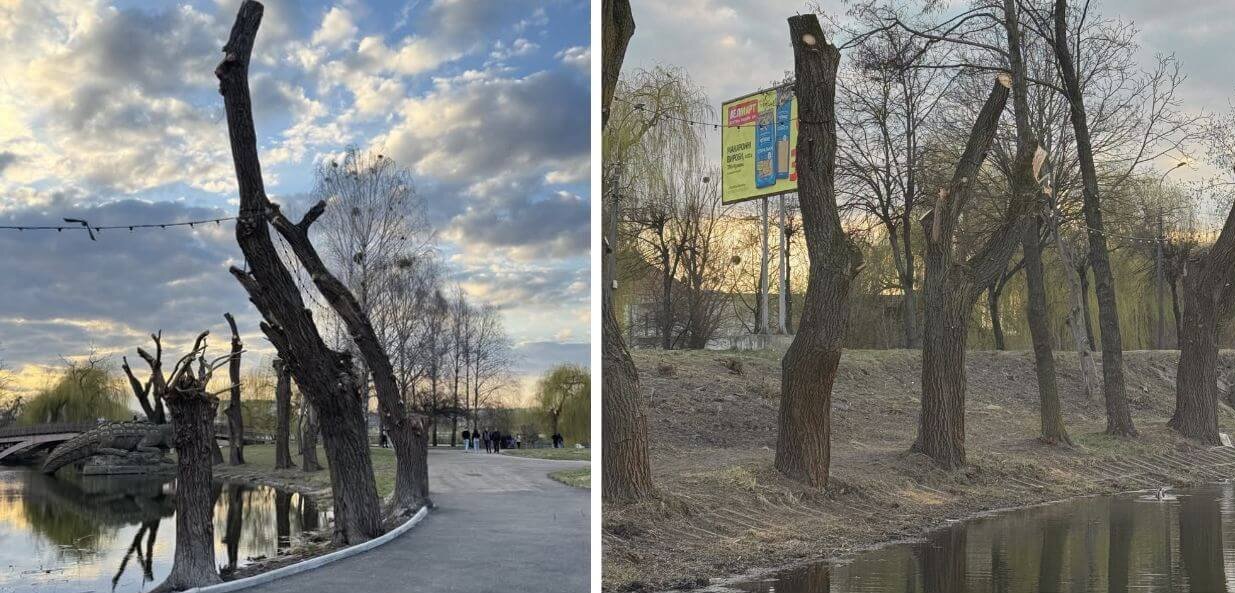 зображення новини