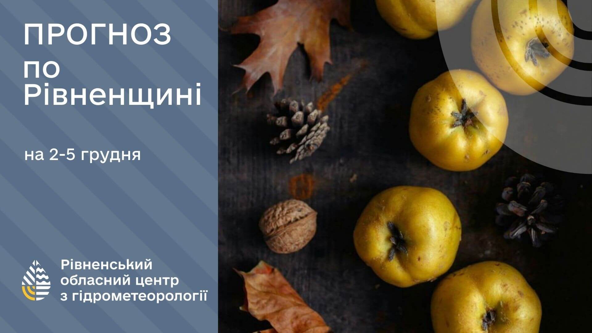 зображення новини