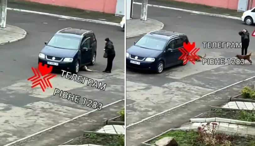 зображення новини