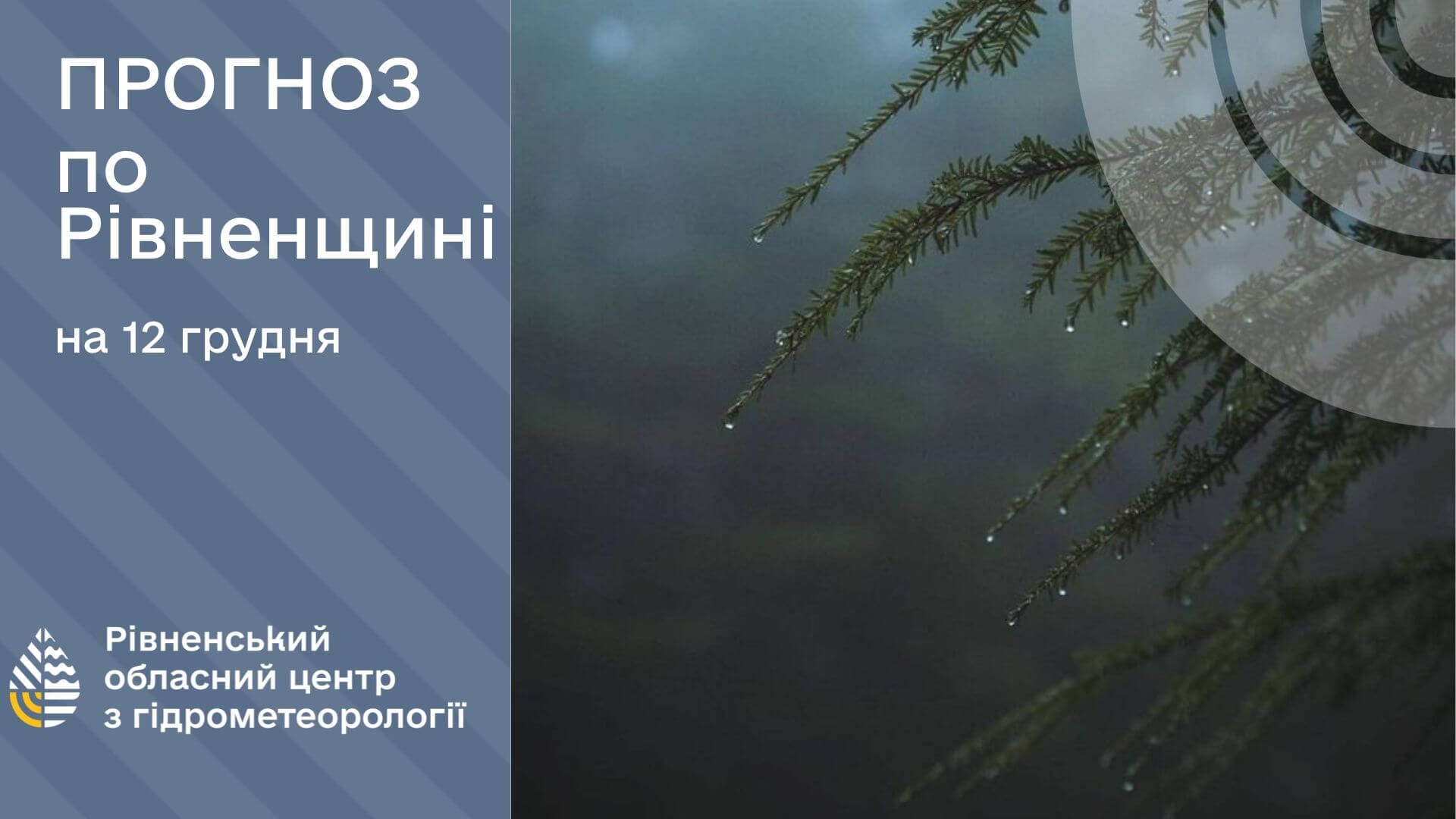 зображення новини