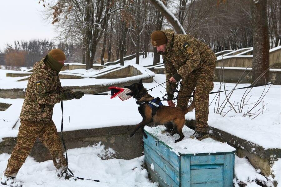 зображення публікації