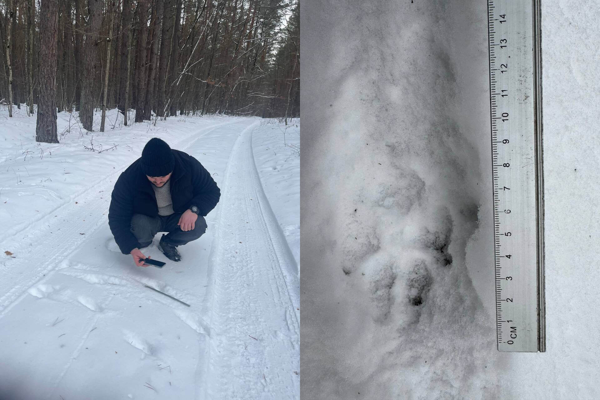 зображення новини
