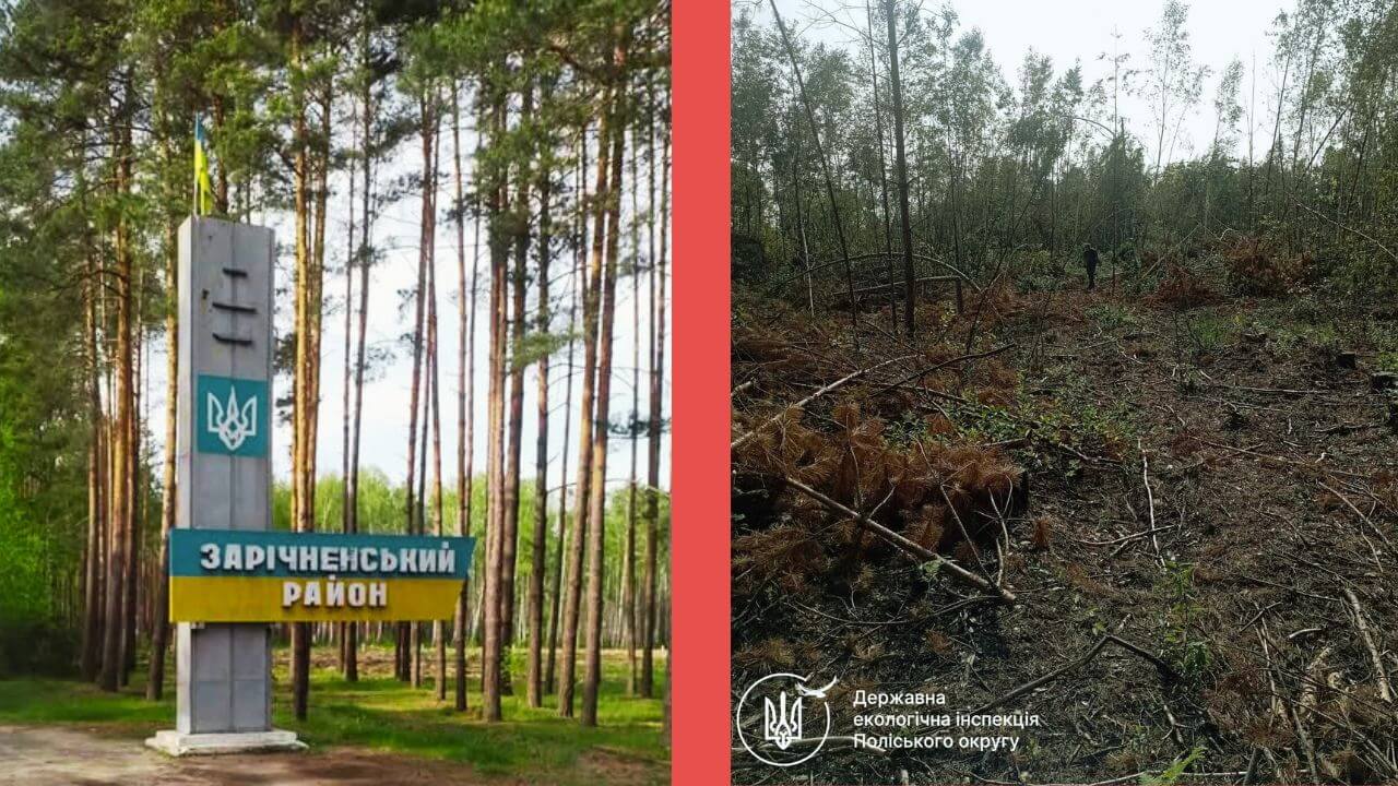 зображення новини