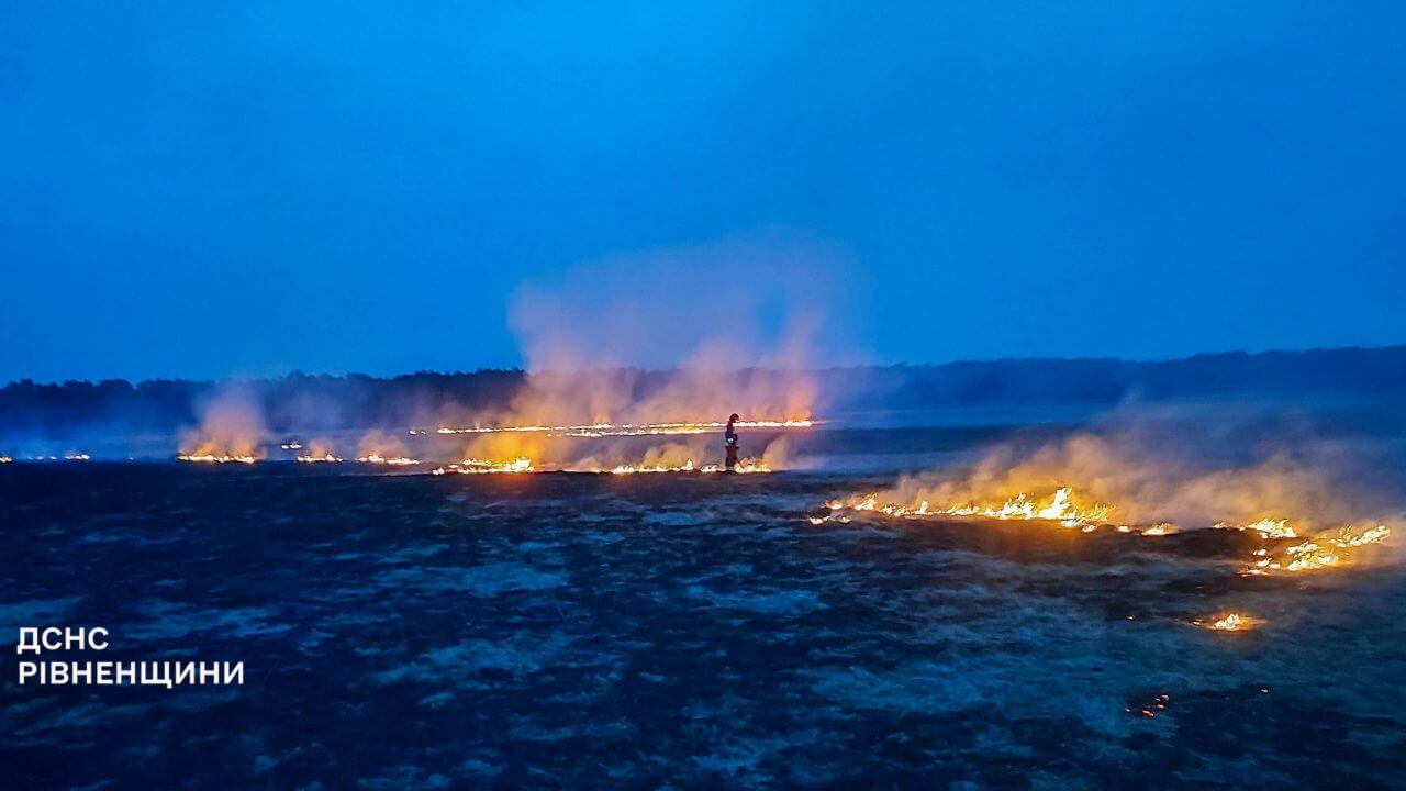 зображення новини