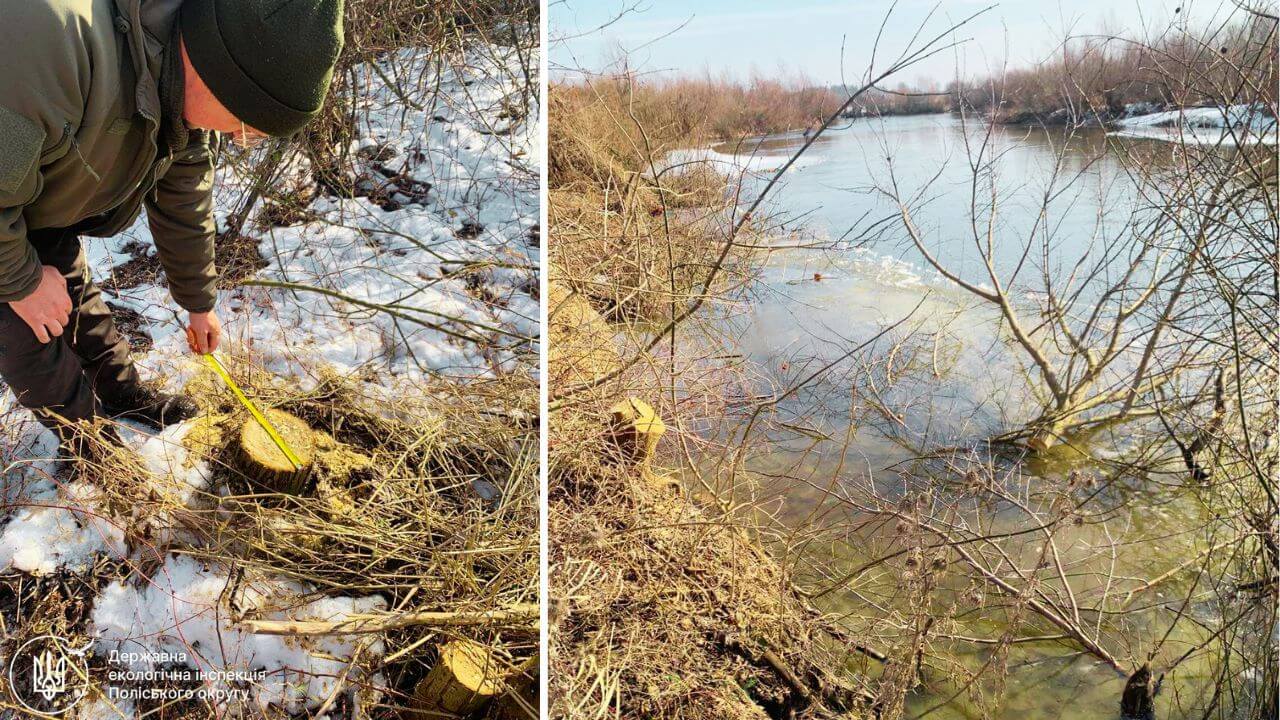 зображення новини