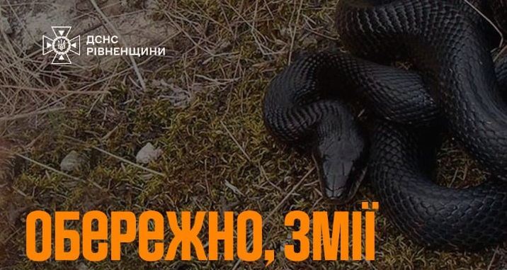 зображення новини