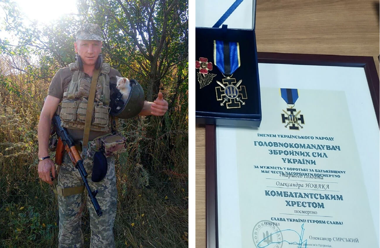 зображення новини