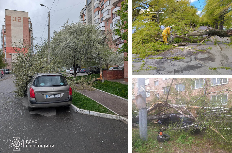 зображення новини