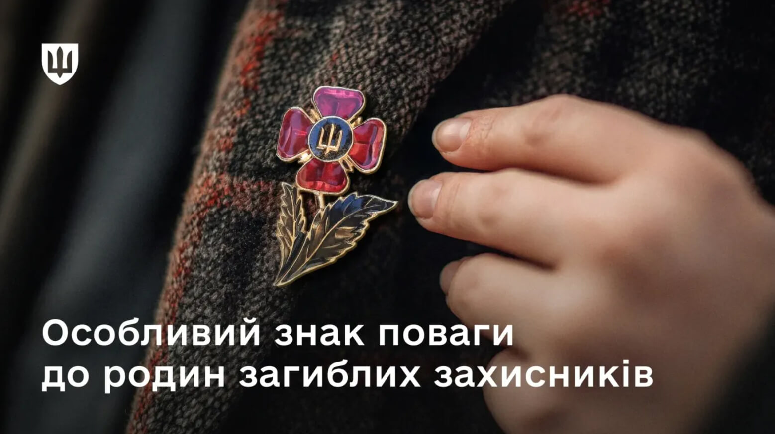 зображення публікації