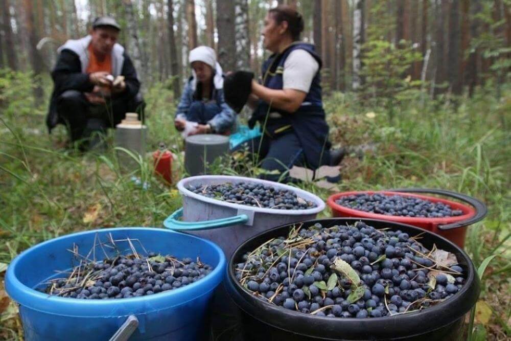 зображення новини