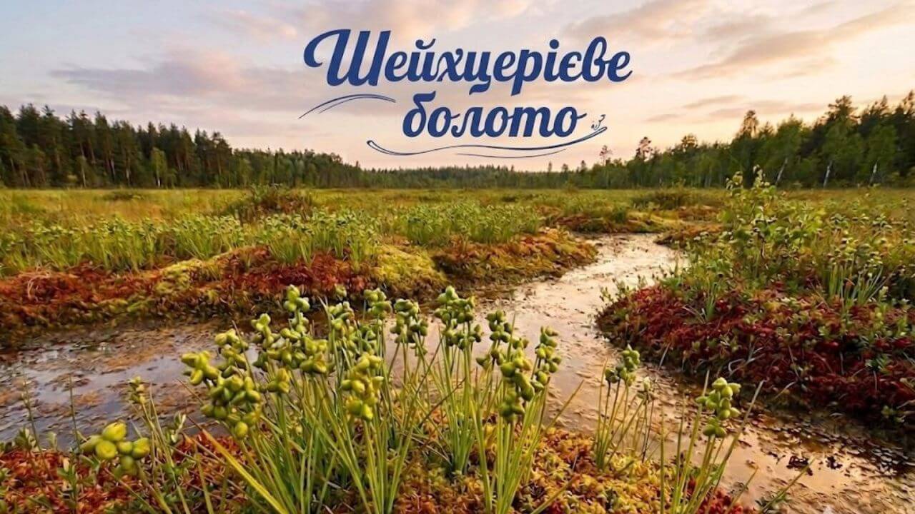 зображення новини