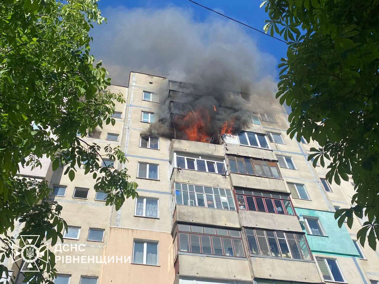 зображення новини