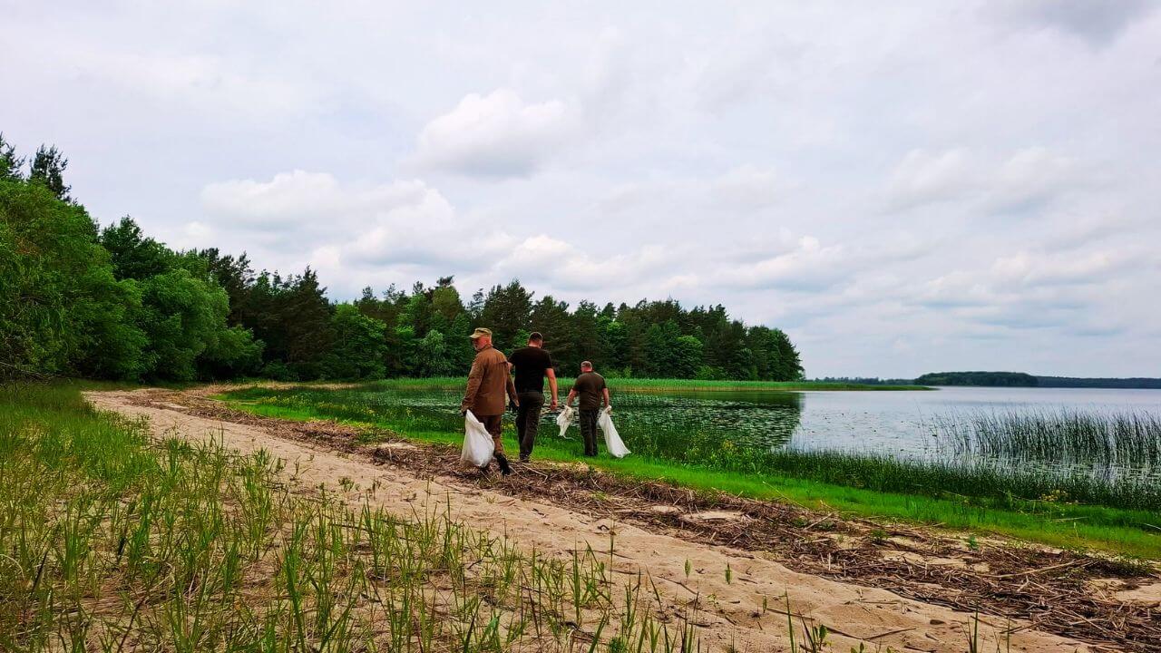 зображення новини