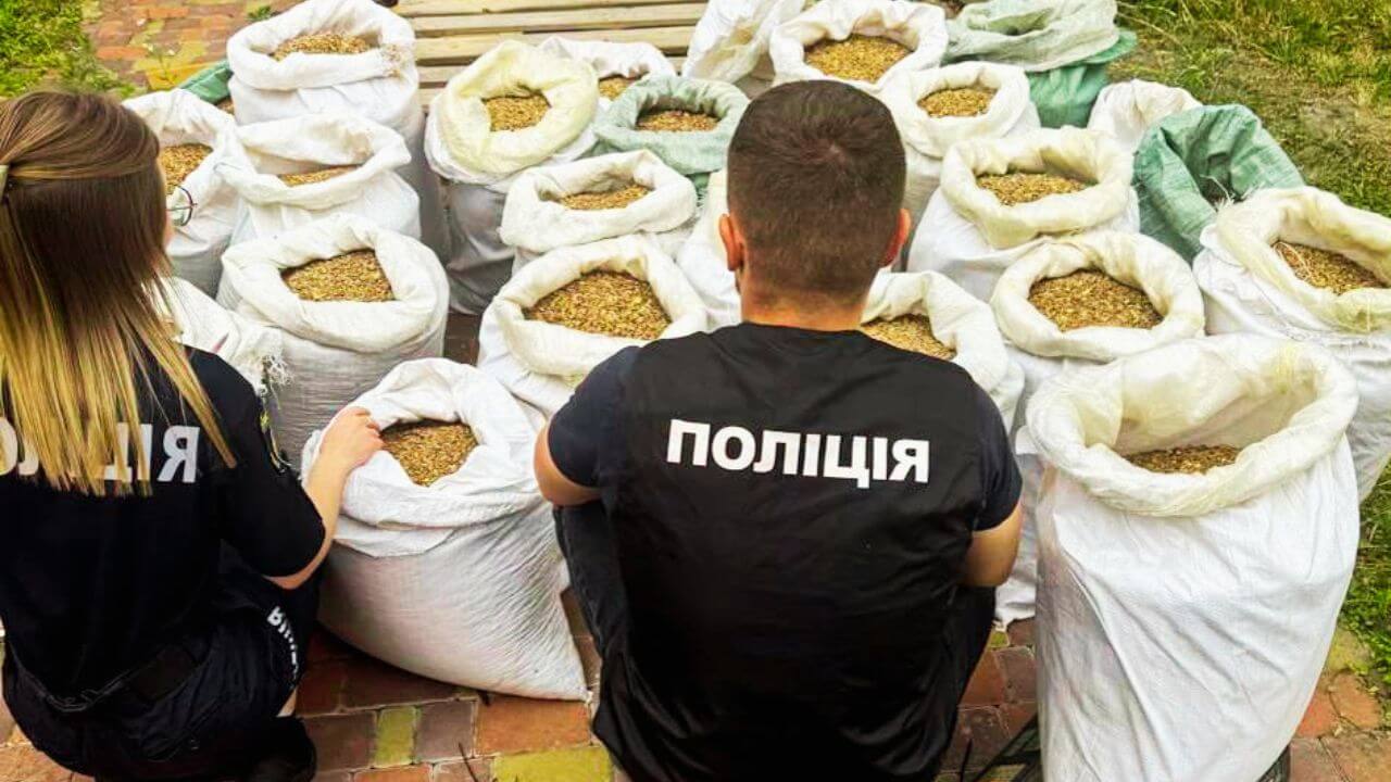 зображення новини