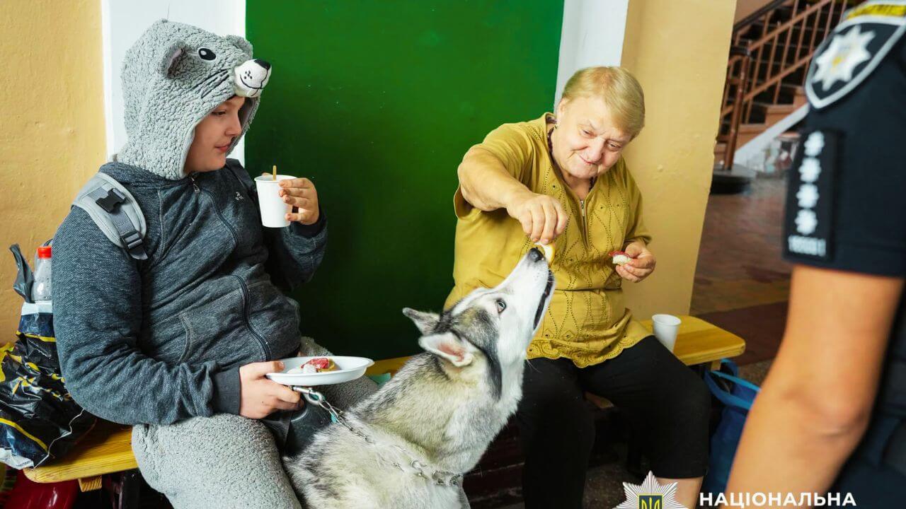 зображення новини