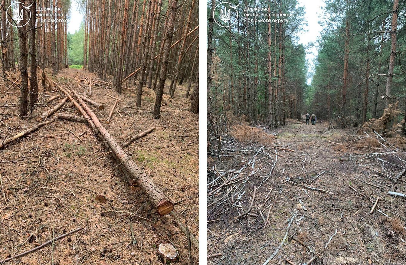 зображення новини