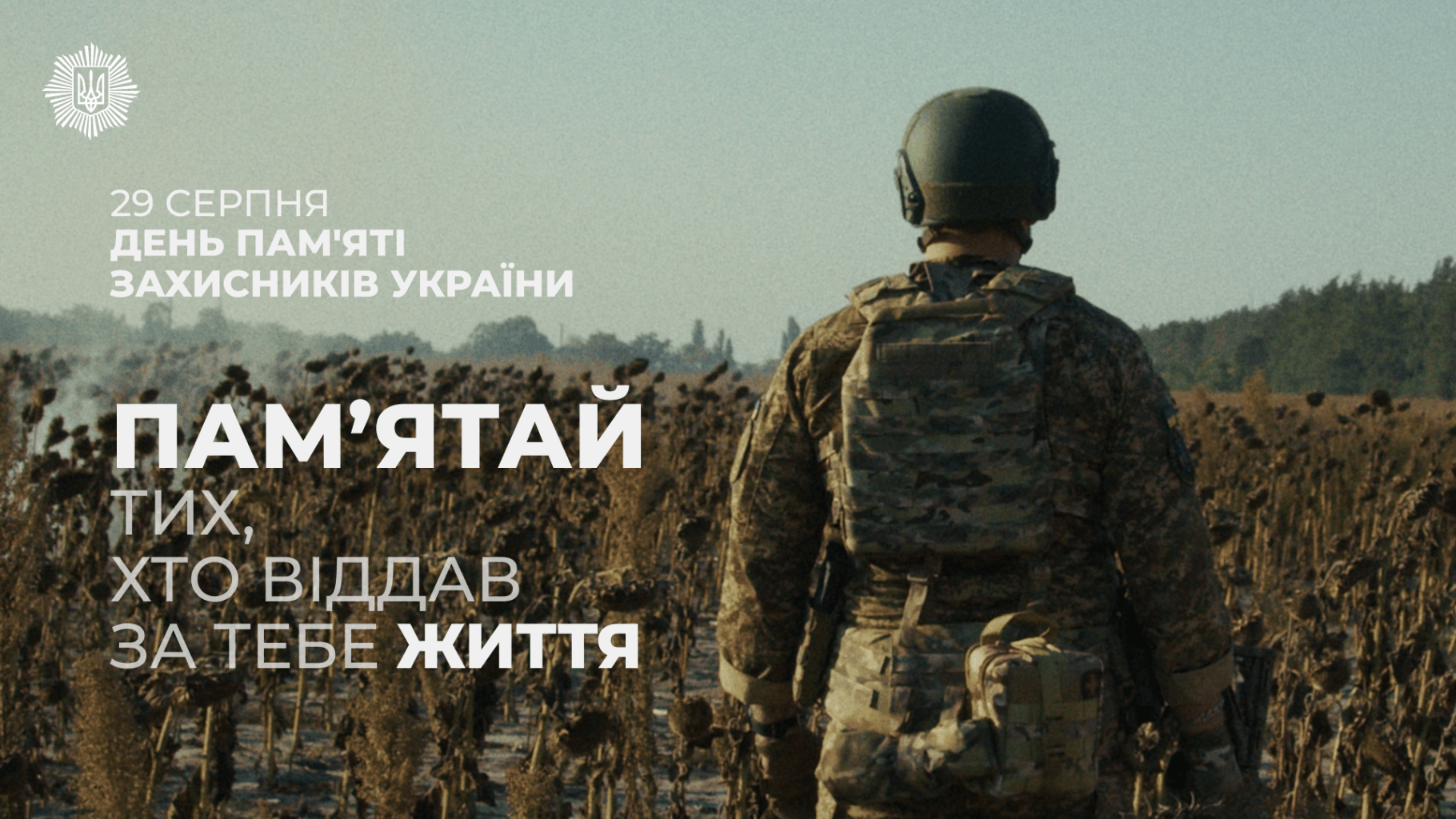 зображення новини