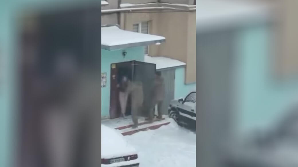 зображення новини