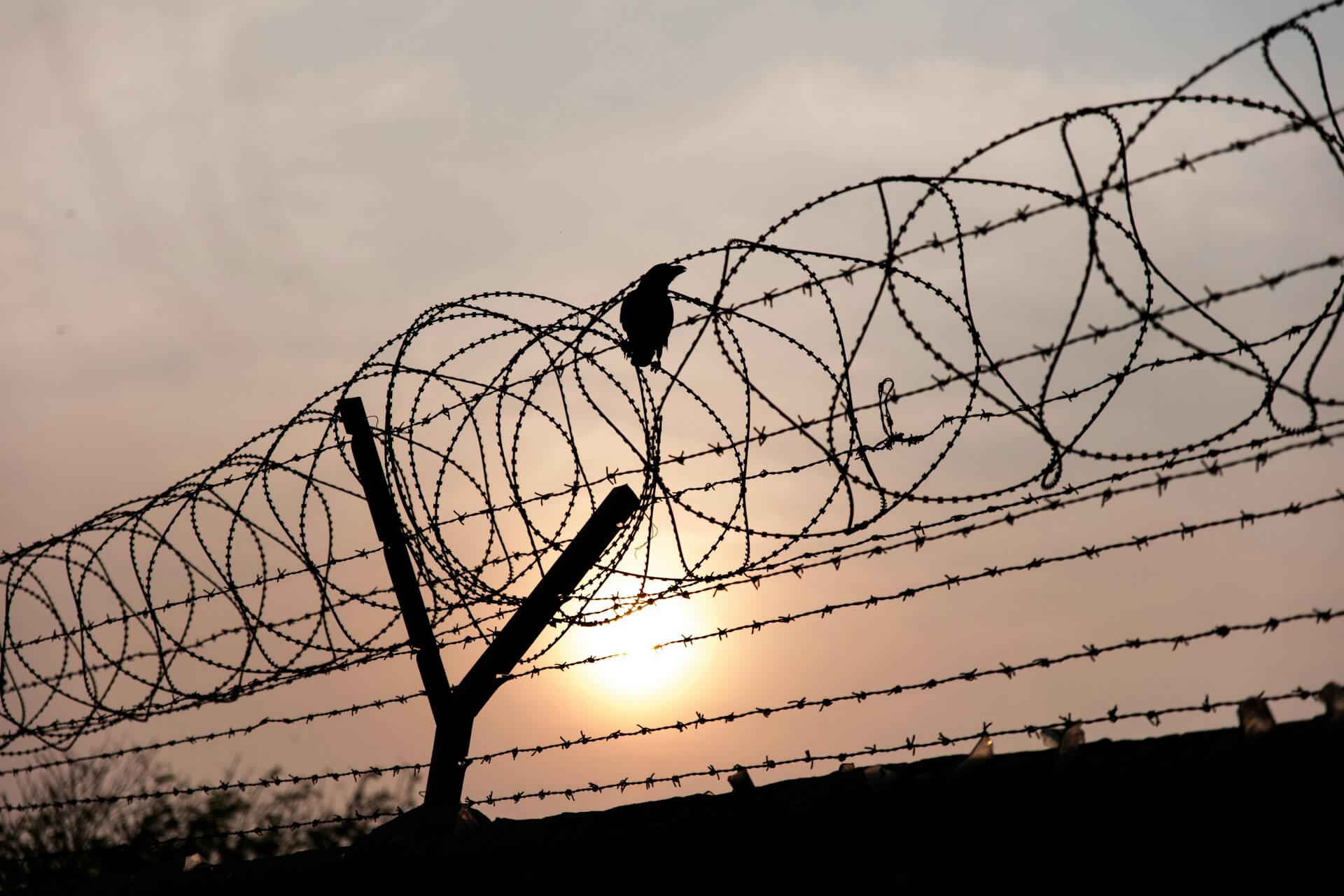 зображення новини